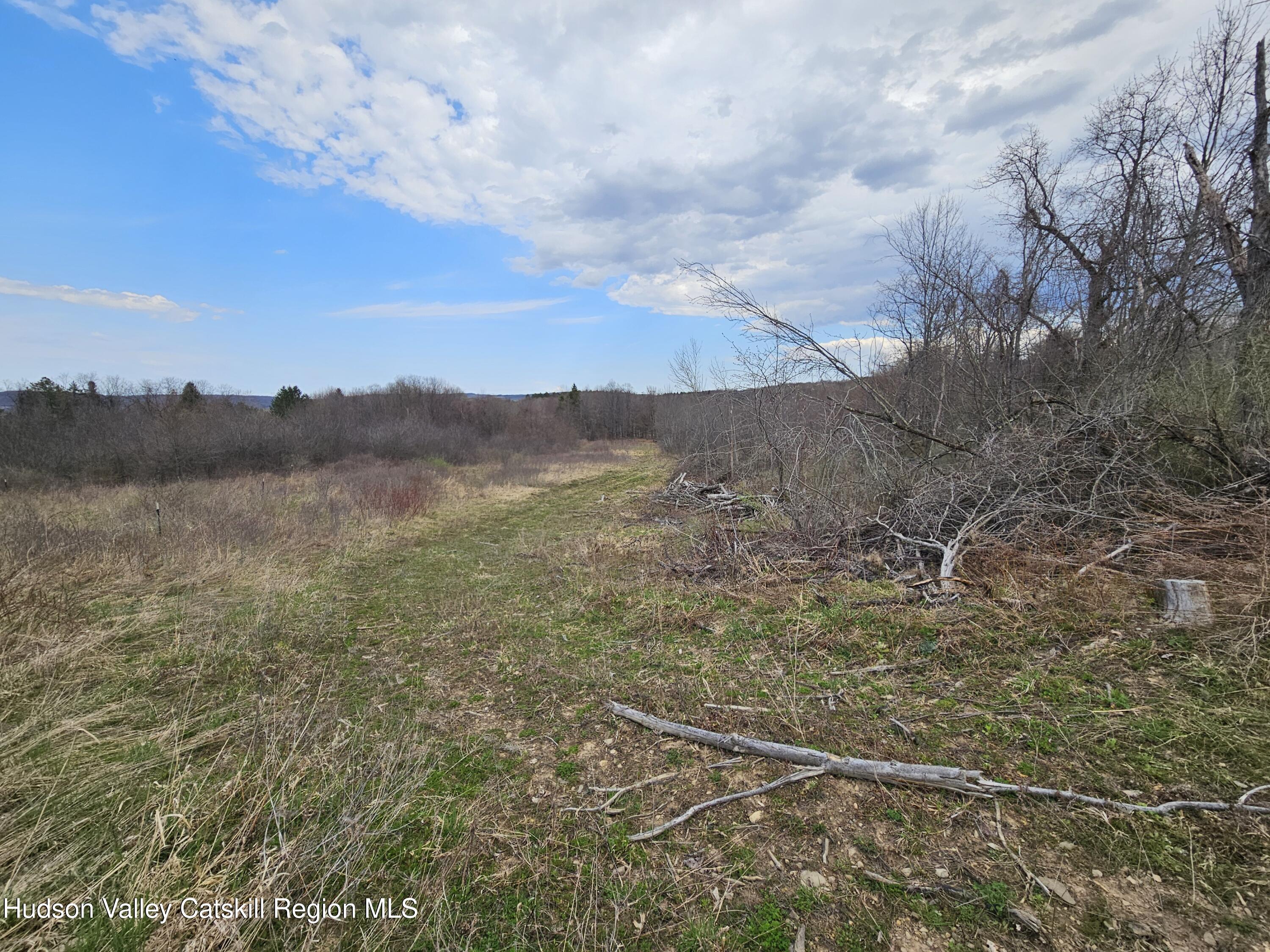 295 Shellstone Road Amsterdam, NY 12010 - Photo 91 of 98 20250424_144933