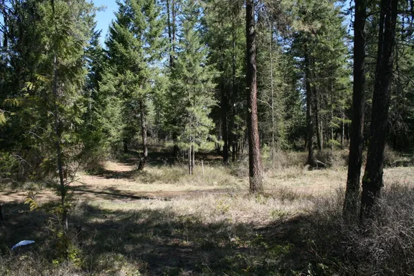 $149,000 | Xx Bowler Road, Springdale, WA 99173