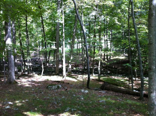 222 Rabbit Court Bushkill, PA 18324 - Photo 18 of 22 a view of park