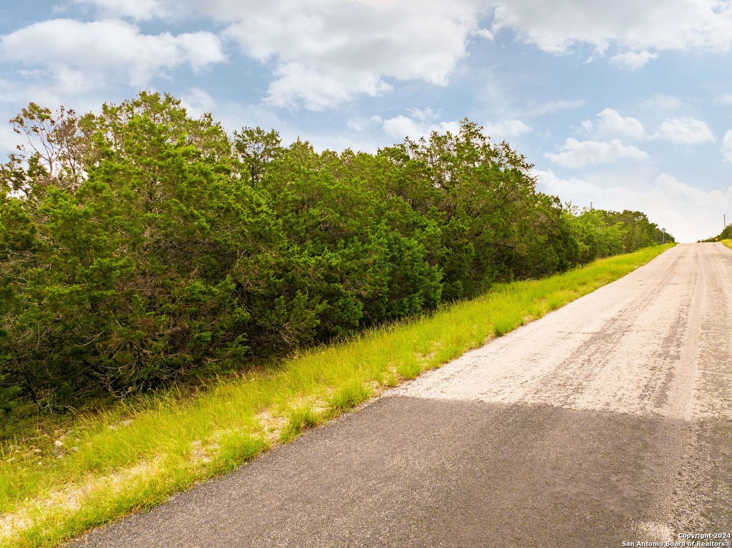 235 Hilltop Ridge New Braunfels, TX 78132 - Photo 21 of 21