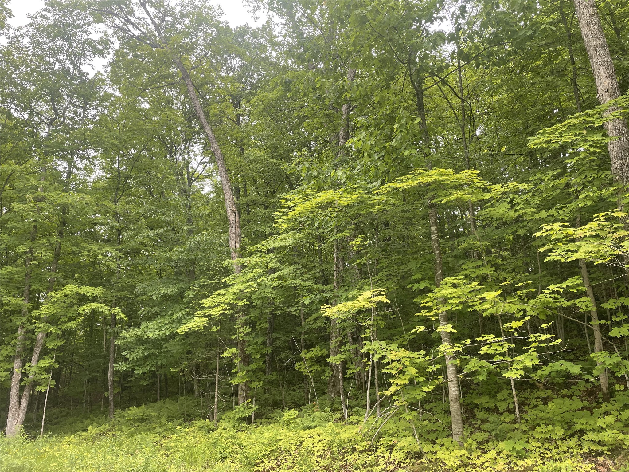 71224 Thole Road Mellen, WI 54546 - Photo 8 of 28