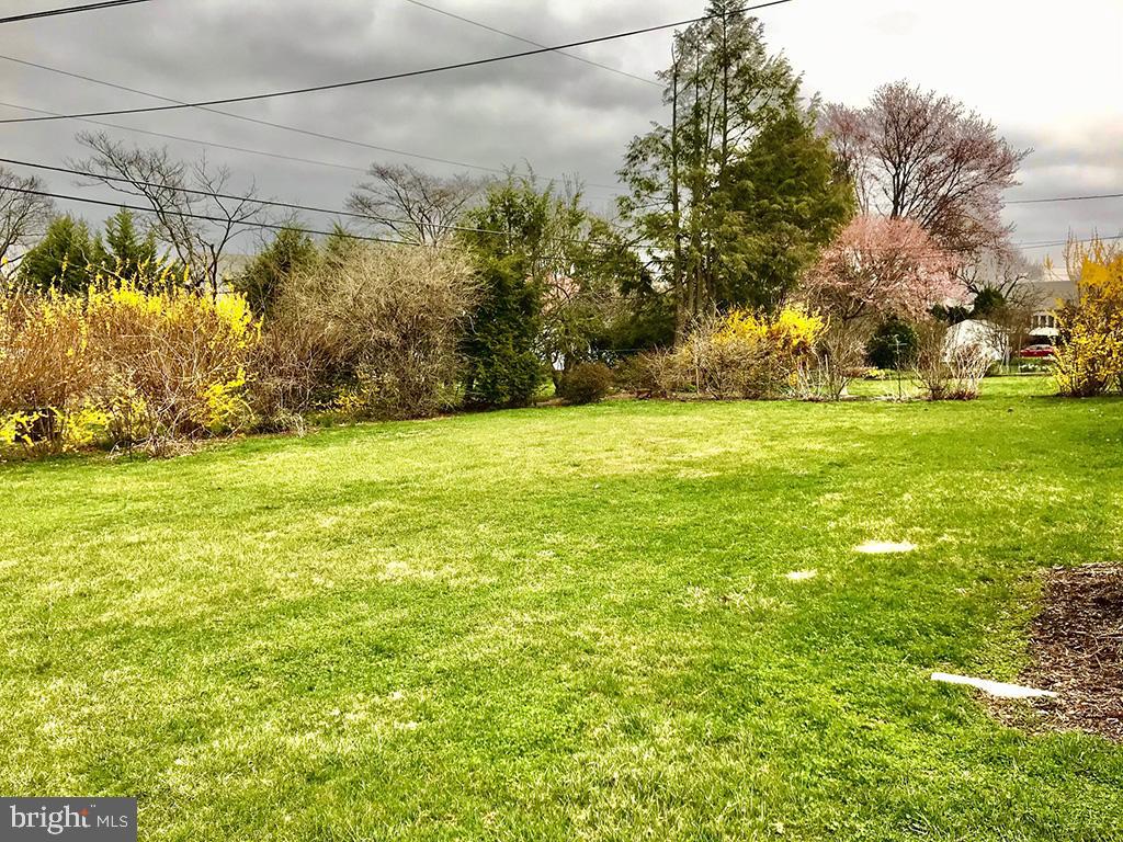 503 Taylor Avenue Reading, PA 19607 - Photo 23 of 24 Yard