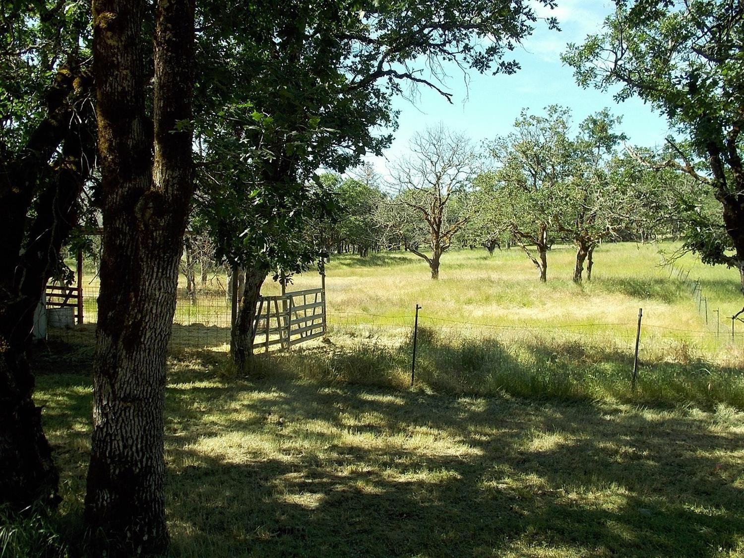 16565 Shiloh Road White City, OR 97503 - Photo 18 of 19 a view of a yard with trees