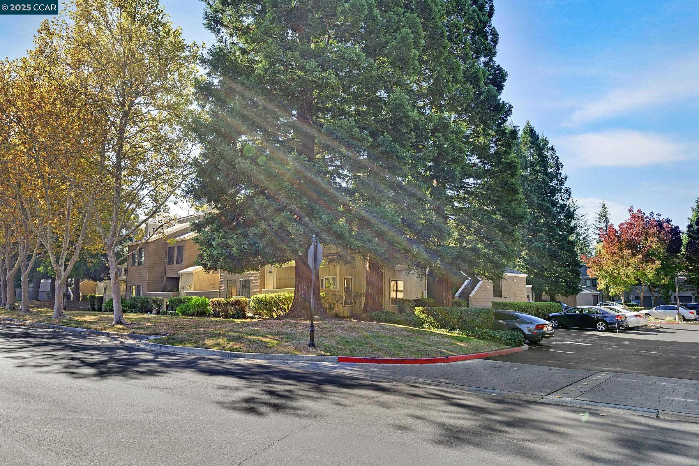246 Copper Ridge Road San Ramon, CA 94582 - Photo 38 of 41 a view of street with houses