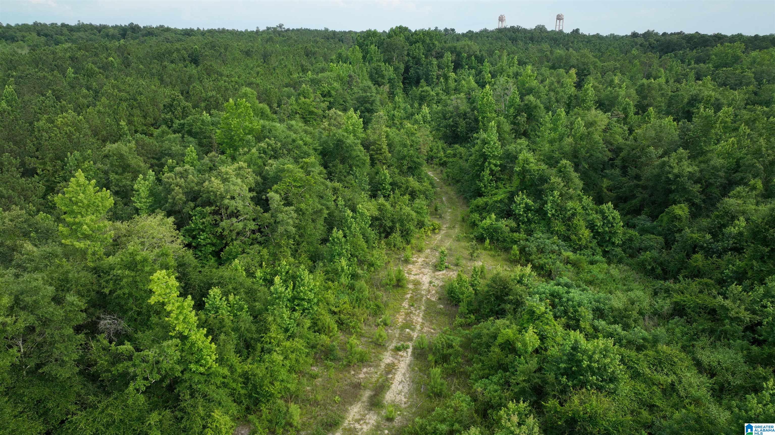 0 Midway Road Tuskegee, AL 36083 - Photo 8 of 30