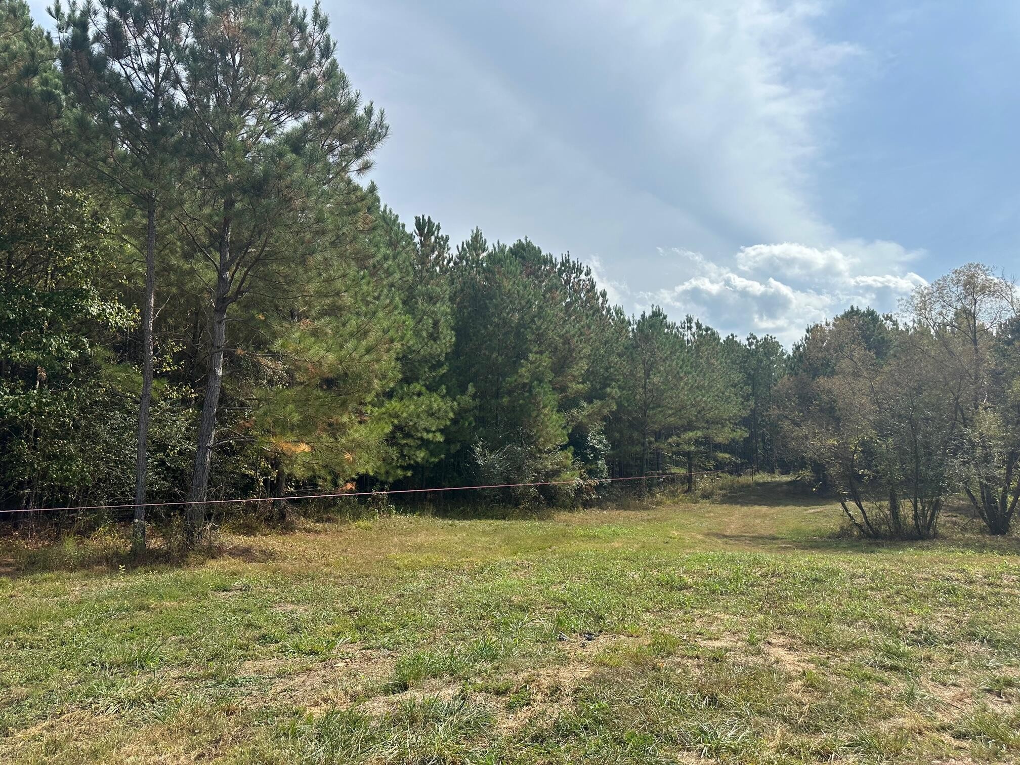 7 Washboard Road Southeast Old Fort, TN 37362 - Photo 4 of 8