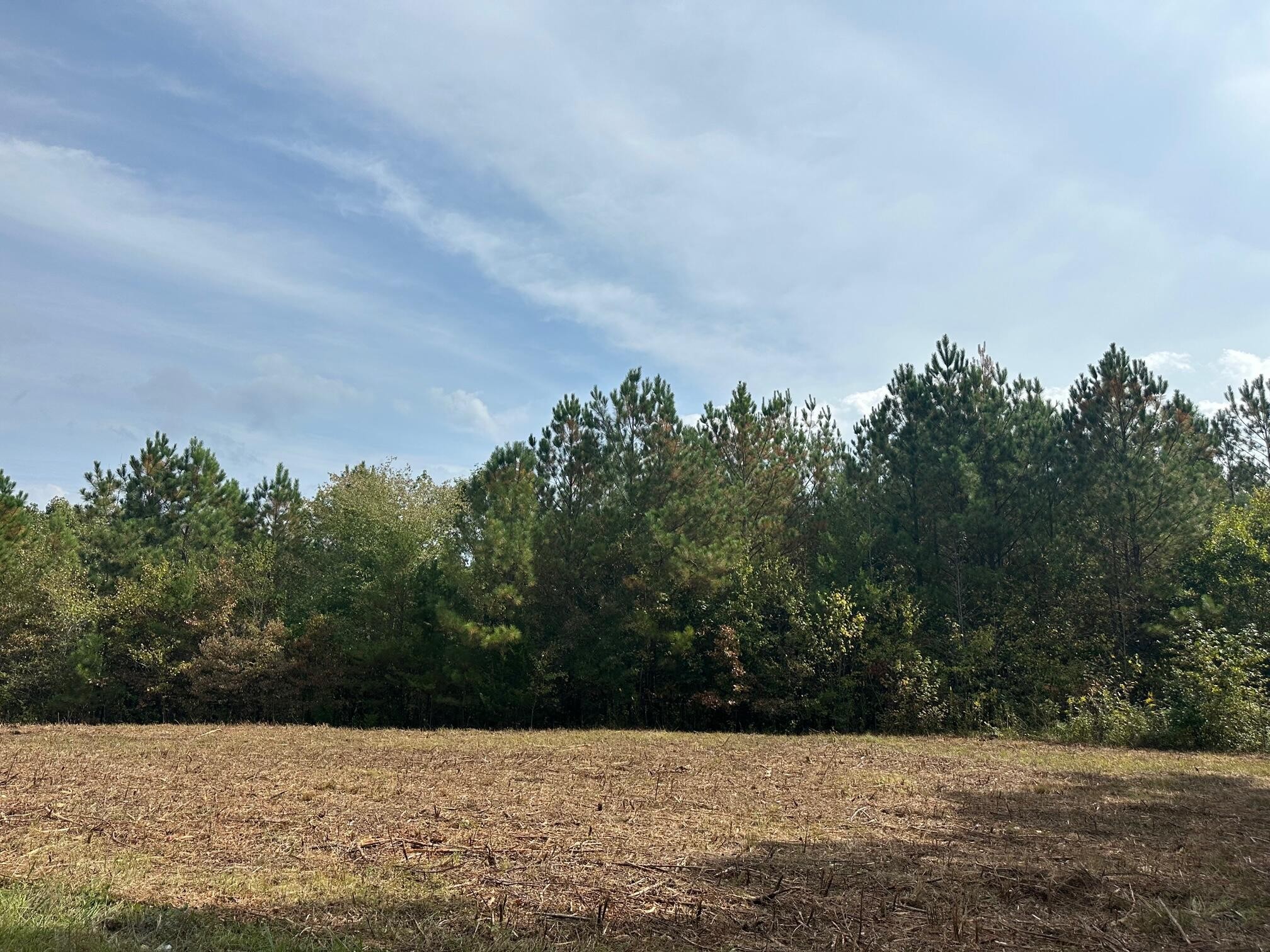 7 Washboard Road Southeast Old Fort, TN 37362 - Photo 6 of 8