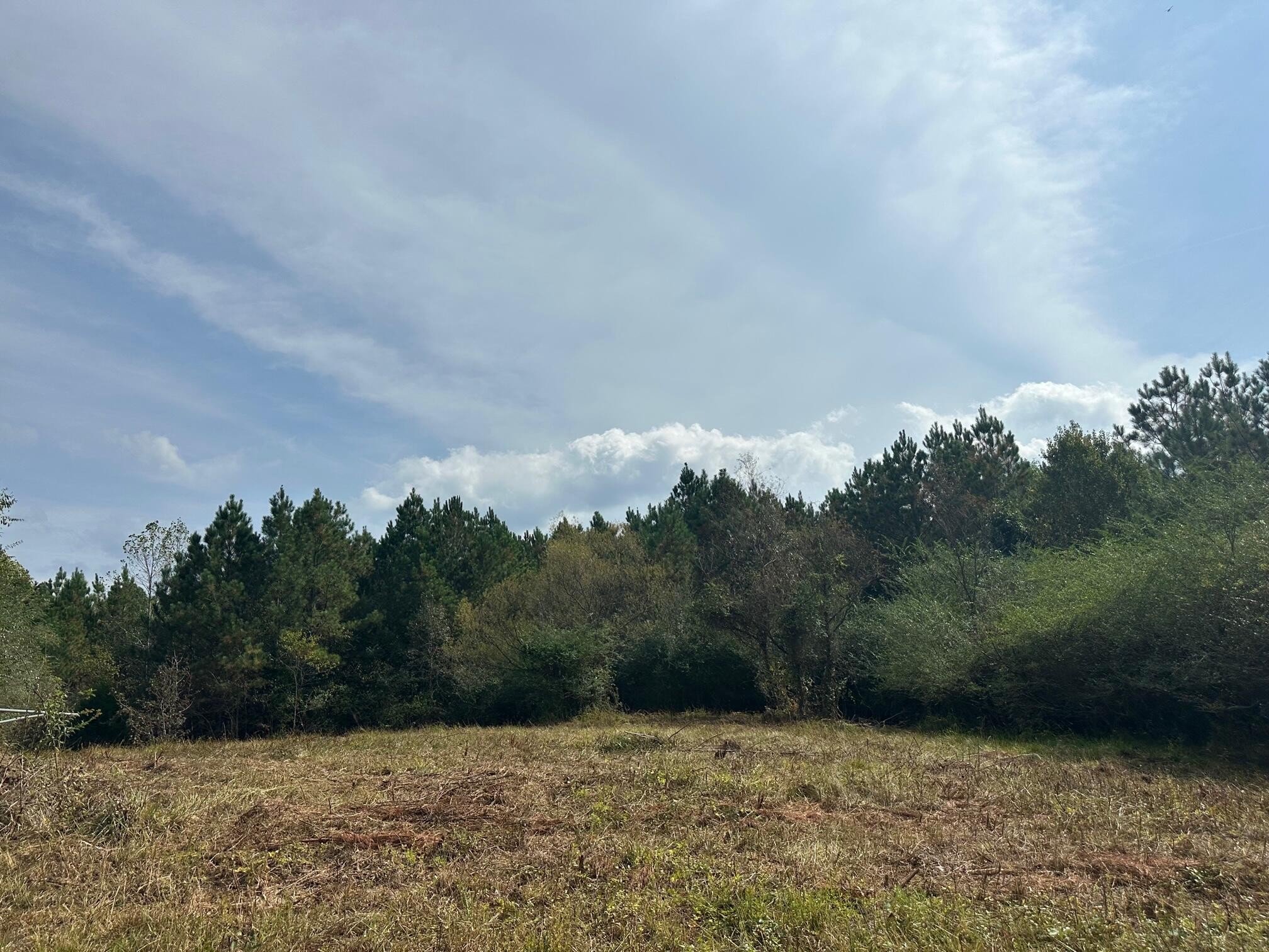7 Washboard Road Southeast Old Fort, TN 37362 - Photo 7 of 8