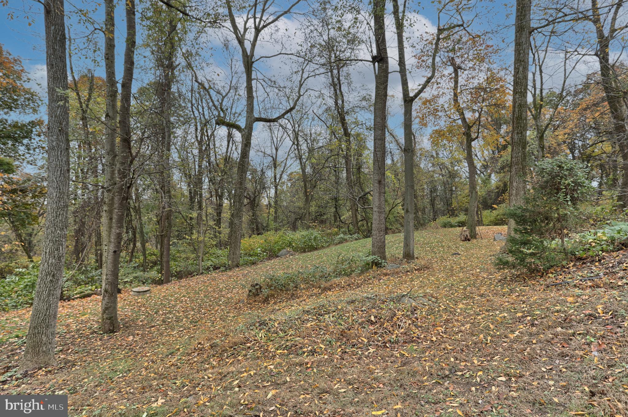 4170 Roundtop Road Elizabethtown, PA 17022 - Photo 62 of 68 Gallery Image 62