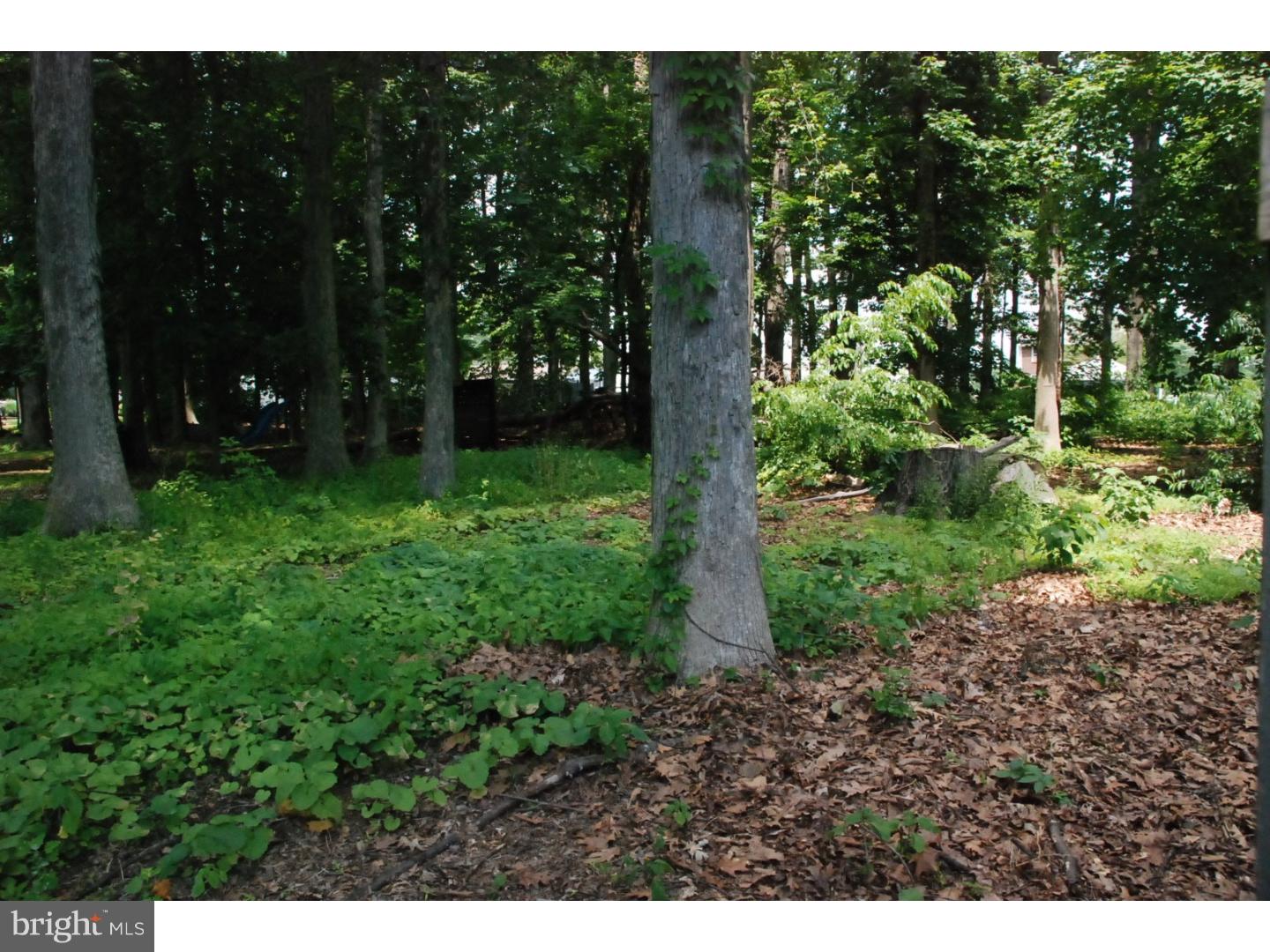 94 Stonegate Road Quakertown, PA 18951 - Photo 18 of 20 Gallery Image 18