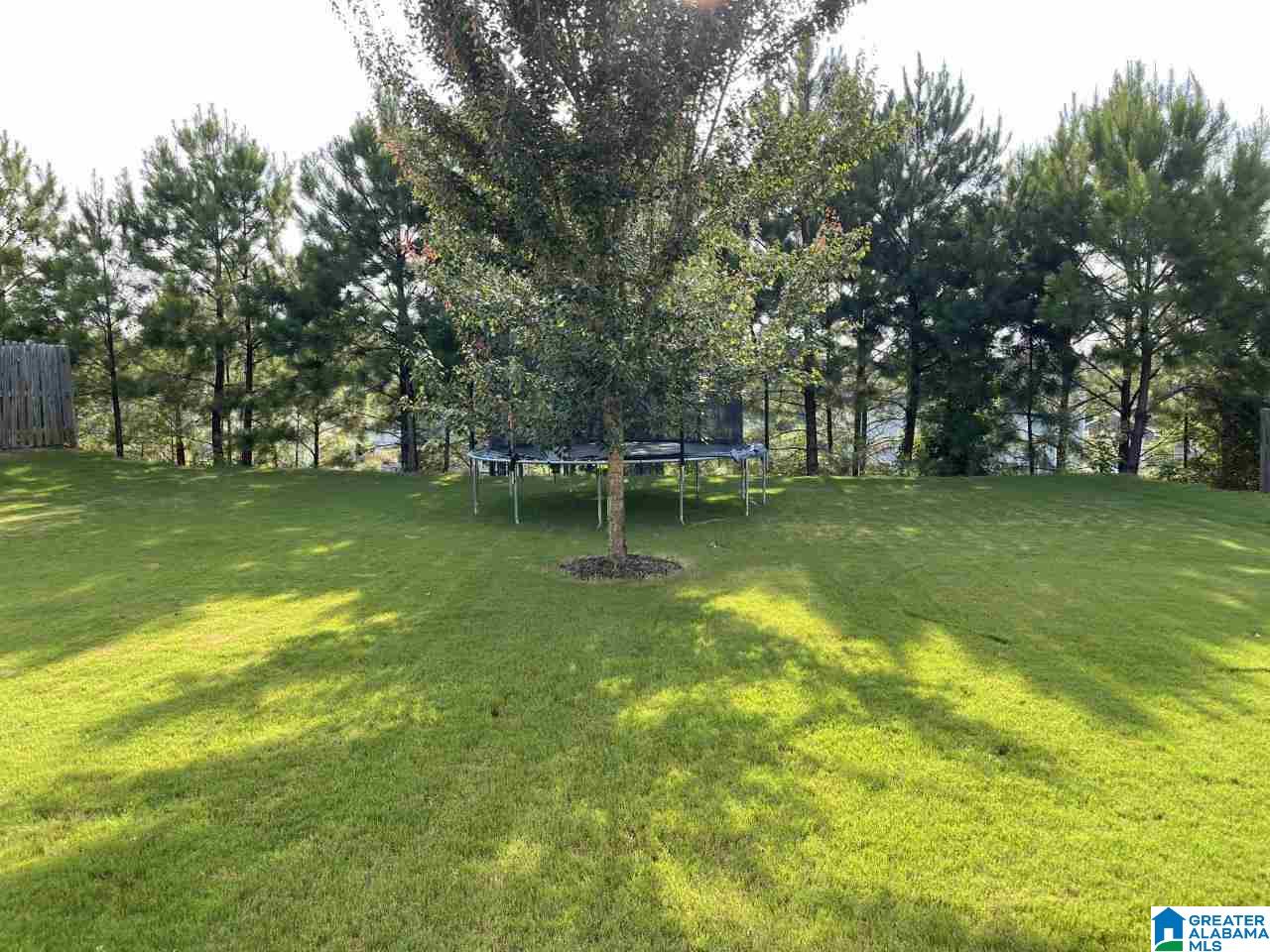 173 Ashby Street Calera, AL 35040 - Photo 3 of 4