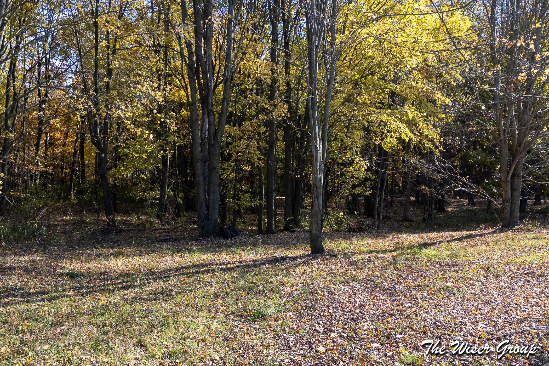 4816 Cole Road Fenwick, MI 48834 - Photo 19 of 66 4816 E Cole Road_8