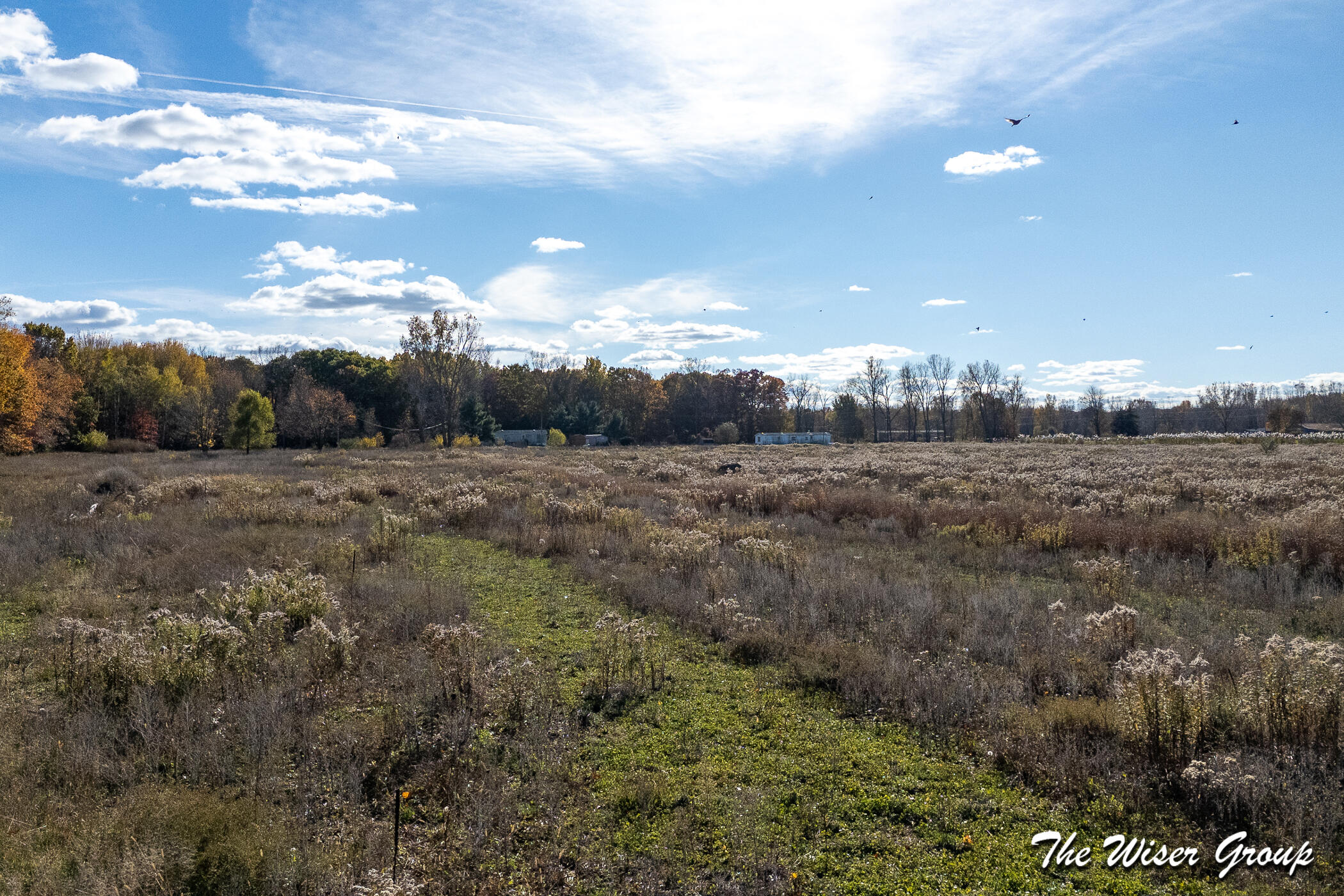 4816 Cole Road Fenwick, MI 48834 - Photo 27 of 66 4816 E Cole Road_16