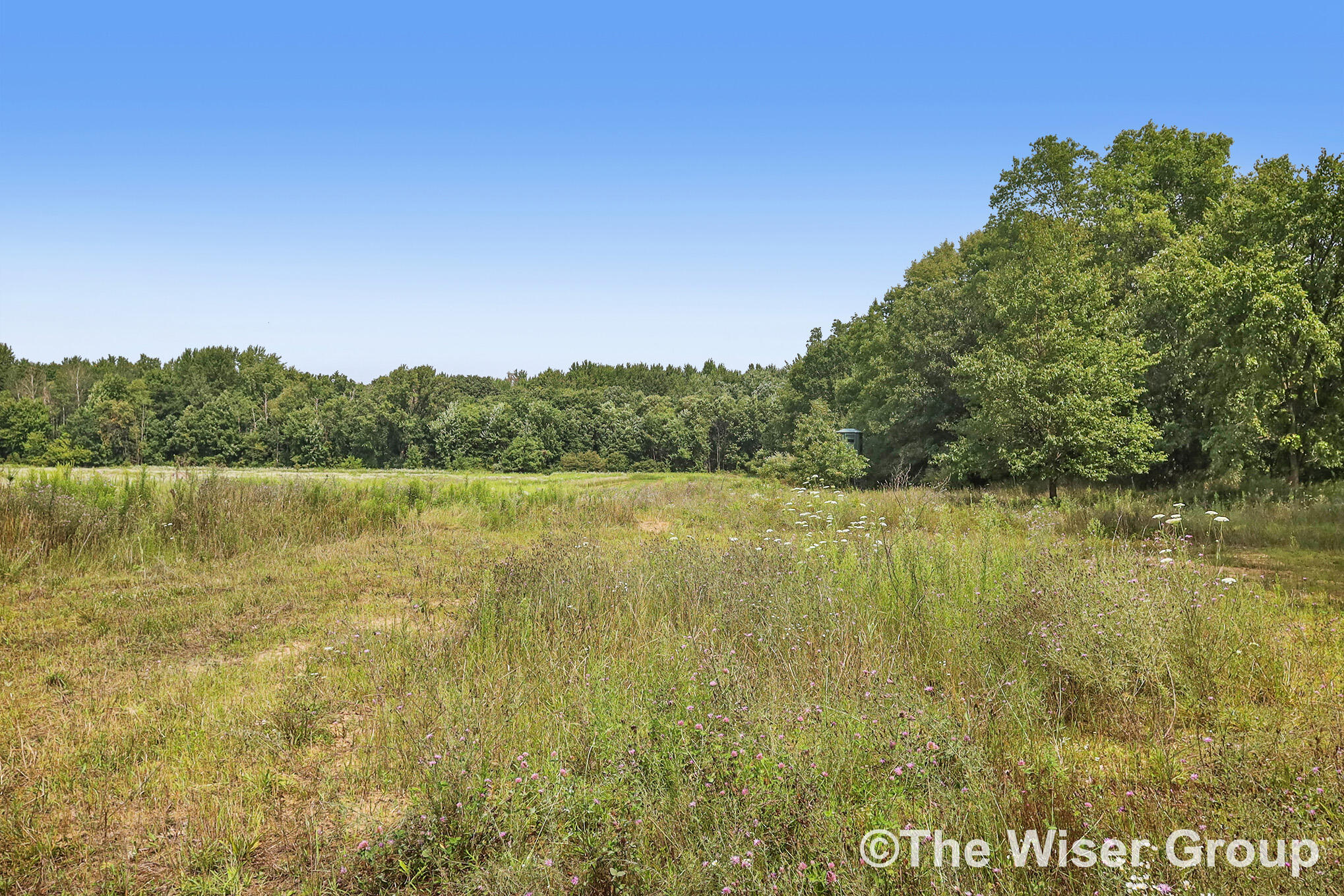 4816 Cole Road Fenwick, MI 48834 - Photo 61 of 66 Photo Aug 09 2023, 9 48 00 AM