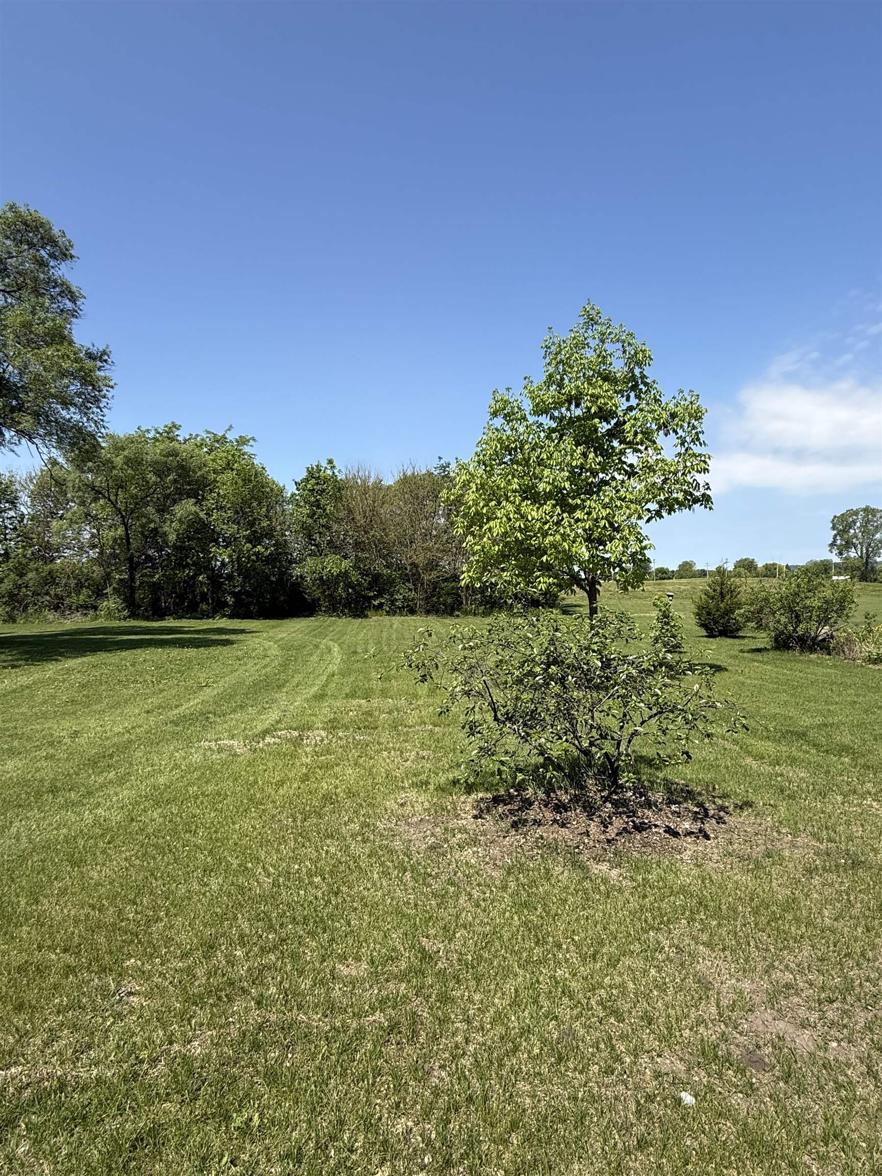 100 North Patten Street Avoca, WI 53506 - Photo 5 of 23