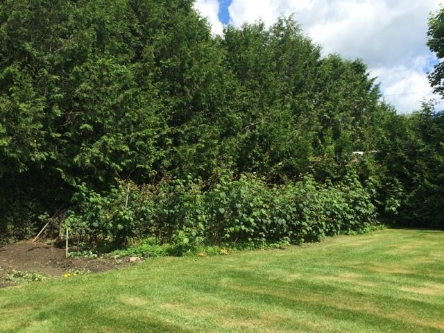 1534 South Albany Road Albany, VT 05875 - Photo 6 of 24
