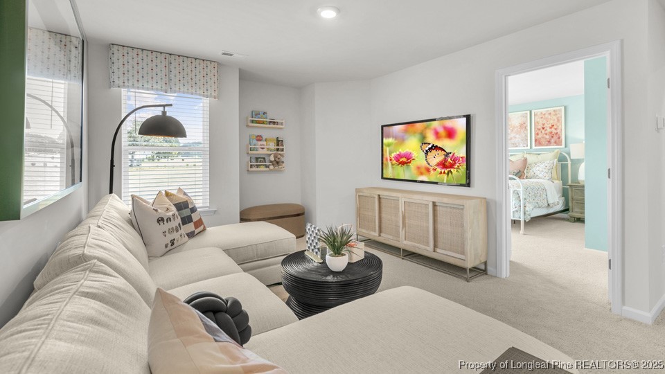 90 Discovery Way Spring Lake, NC 28390 - Photo 14 of 34 Loft