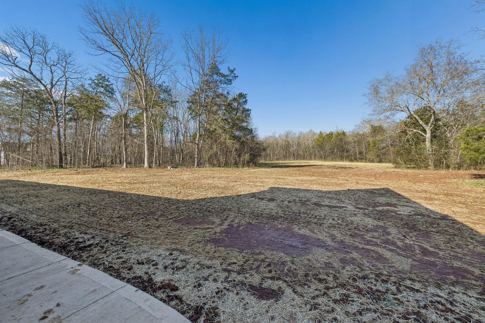 8533 Twelve Corners Road Lascassas, TN 37085 - Photo 57 of 79 a view of dirt field with trees