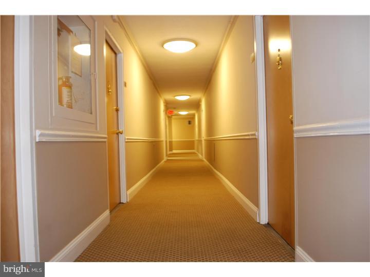 2101-17 Chestnut Street, Unit 518 Philadelphia, PA 19103 - Photo 5 of 5 Hallway