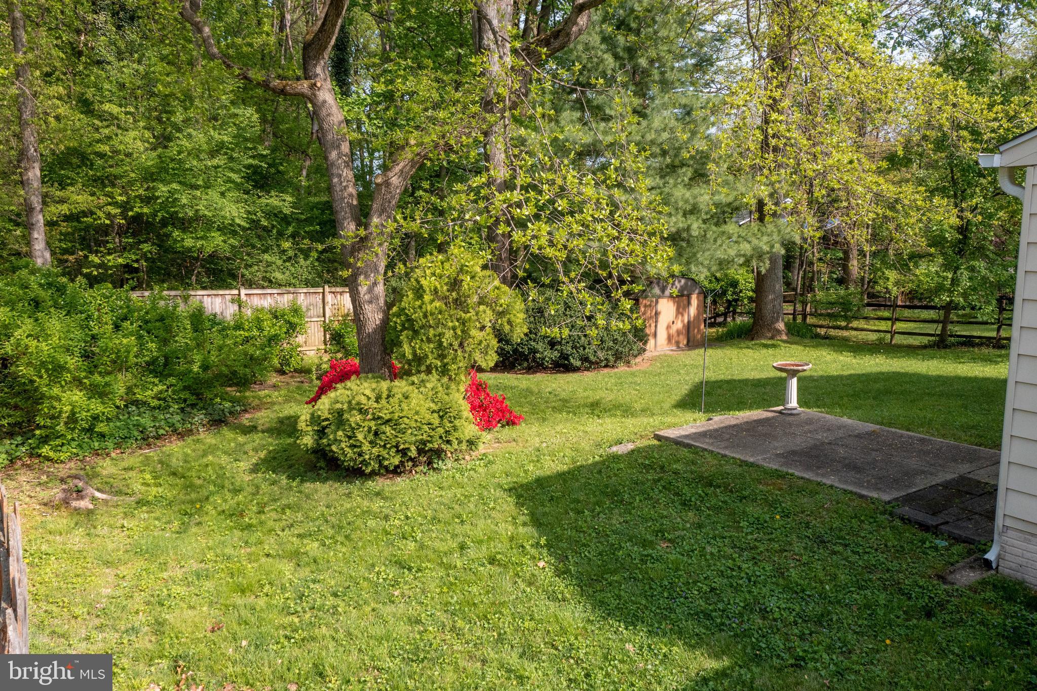 223 Summit Hall Road Gaithersburg, MD 20877 - Photo 56 of 60 a view of a park with large trees