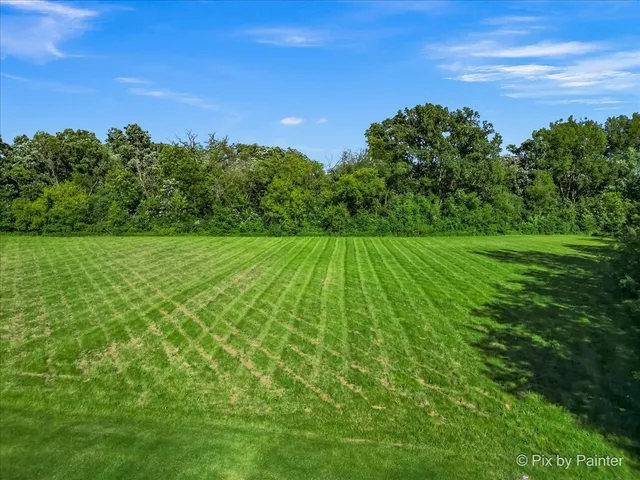 a view of a big yard with a green yard
