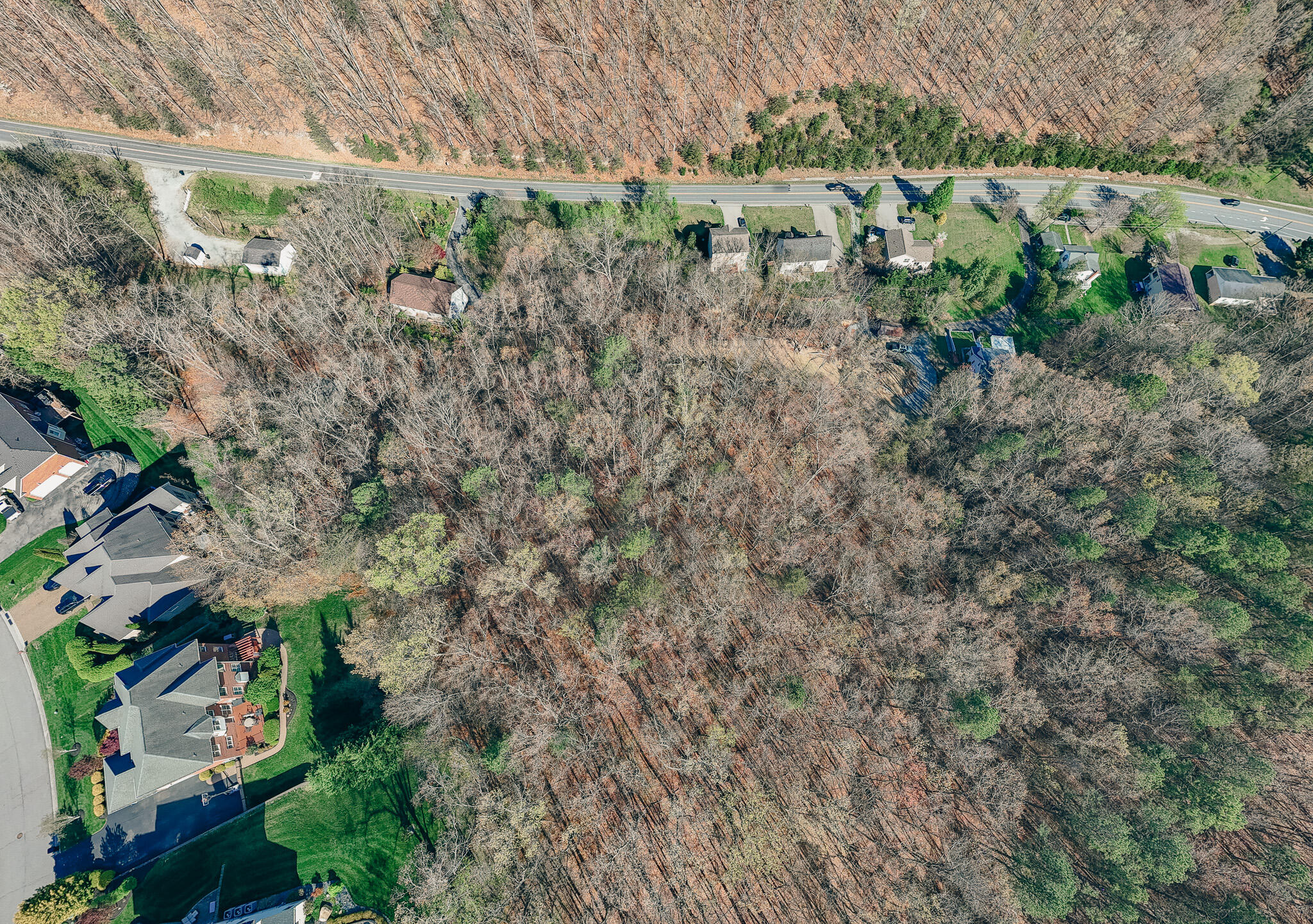 3790 Buck Mountain Road Roanoke, VA 24018 - Photo 4 of 10 Freeman pic 4