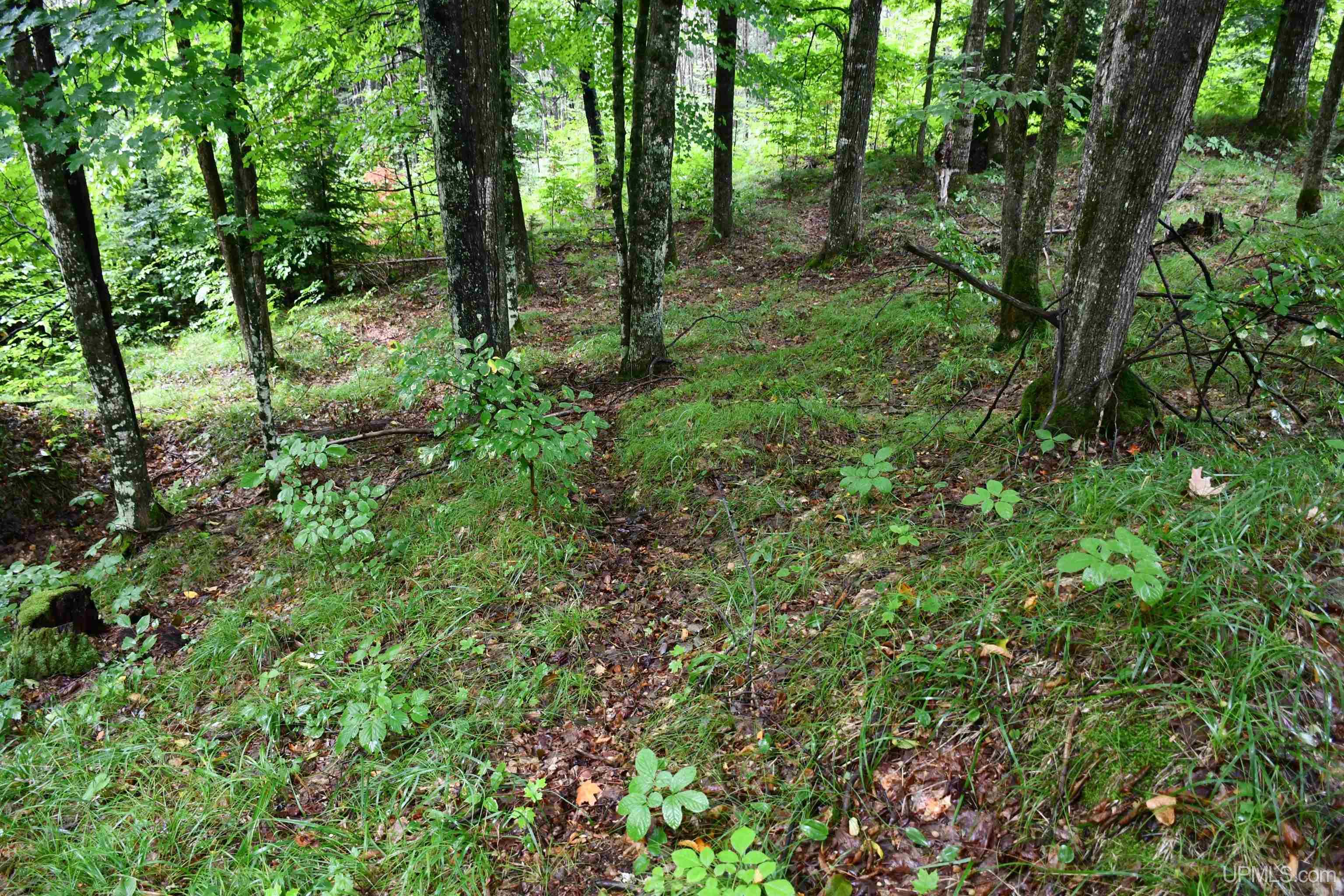 Tbd County Line Road Foster City, MI 49834 - Photo 36 of 56