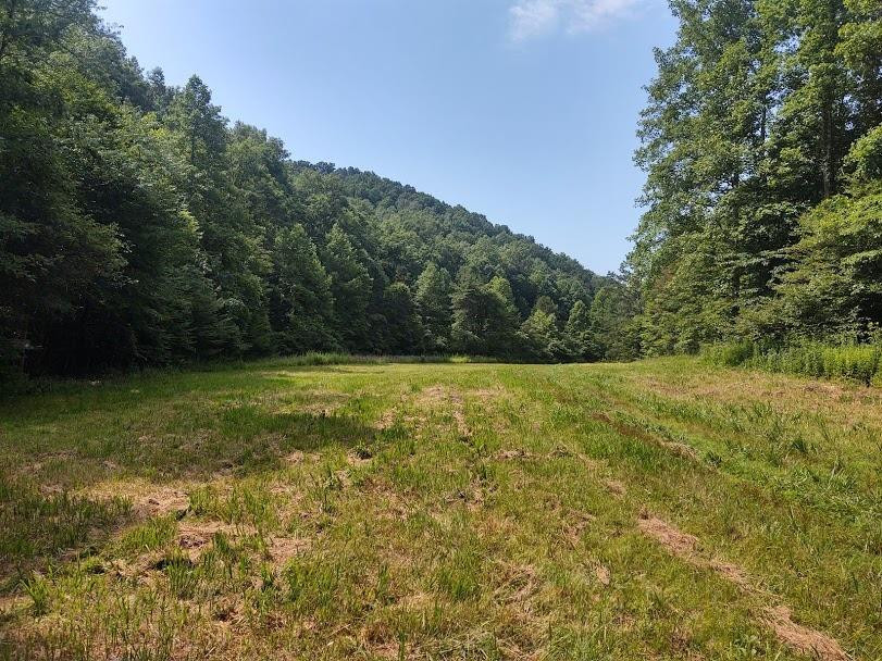 1200 Clearfork Road Morehead, KY 40351 - Photo 79 of 86 Photo 79