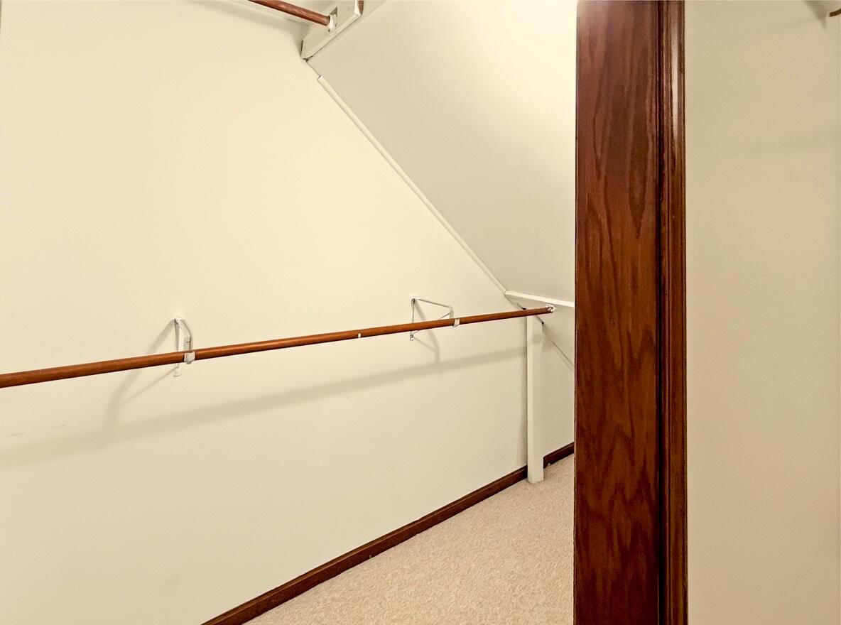 3655 99th Street Pleasant Prairie, WI 53158 - Photo 43 of 52 basement closet