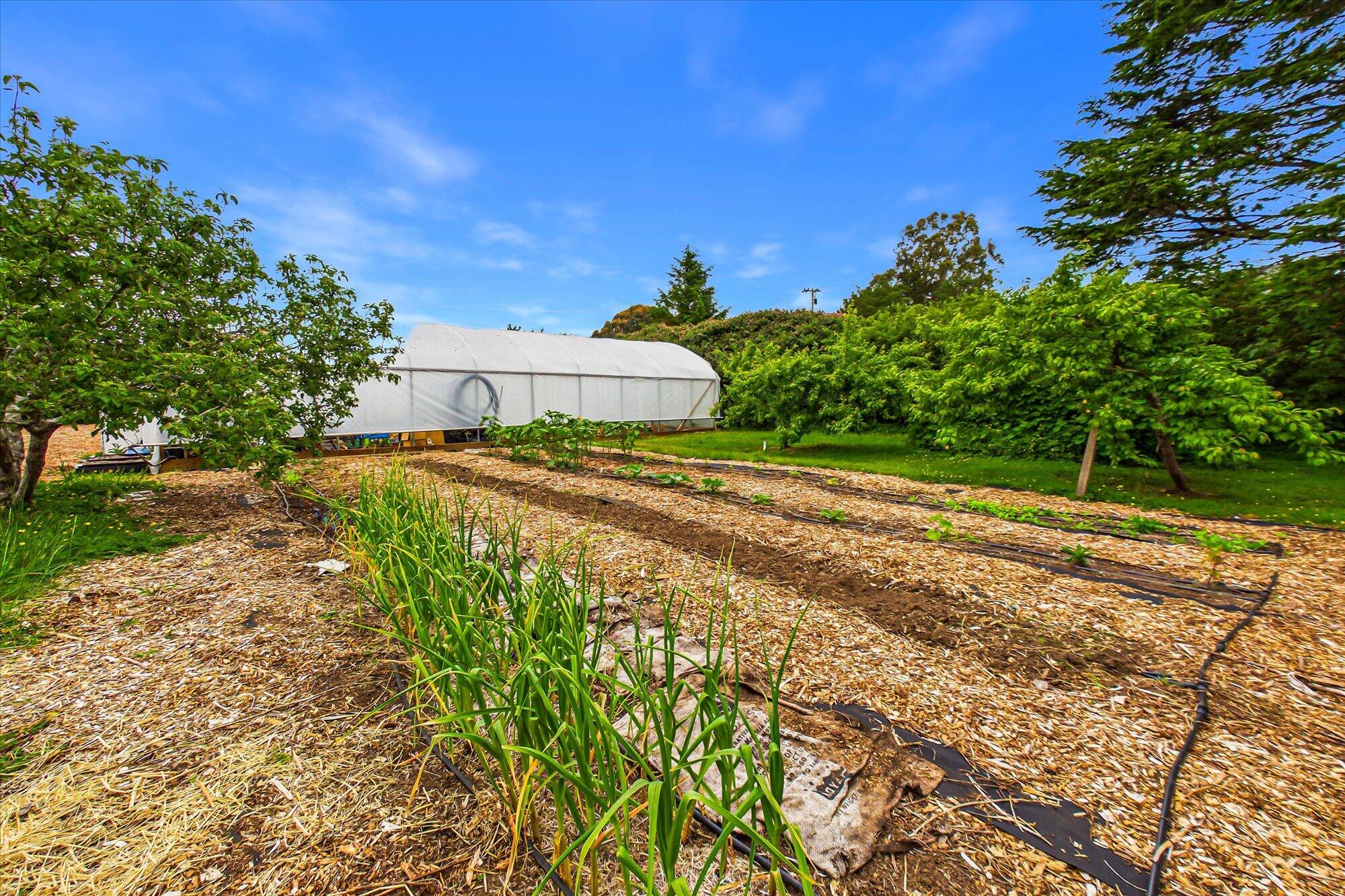 1300 Clam Beach Road McKinleyville, CA 95519 - Photo 105 of 116