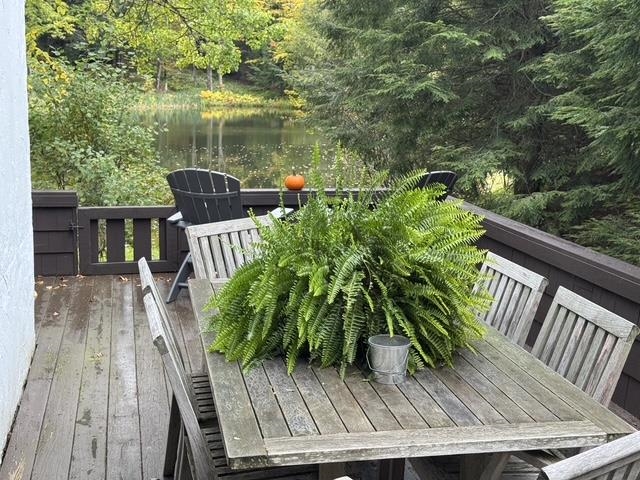 81 Pond View Road Winhall, VT 05340 - Photo 47 of 56 Gallery Image 47