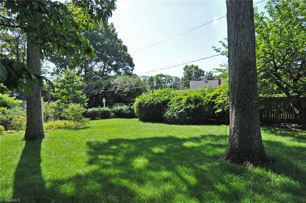 1040 Chester Road Winston-Salem, NC 27104 - Photo 20 of 21 Backyard.