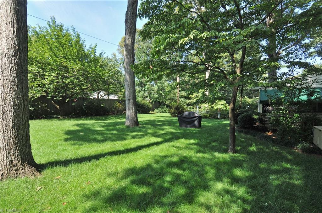 1040 Chester Road Winston-Salem, NC 27104 - Photo 21 of 21 Backyard.