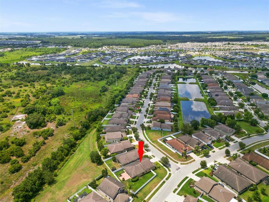 6539 Boulder Run Loop Wesley Chapel, FL 33545 - Photo 45 of 53