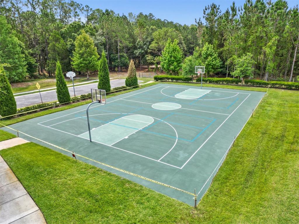 6539 Boulder Run Loop Wesley Chapel, FL 33545 - Photo 47 of 53