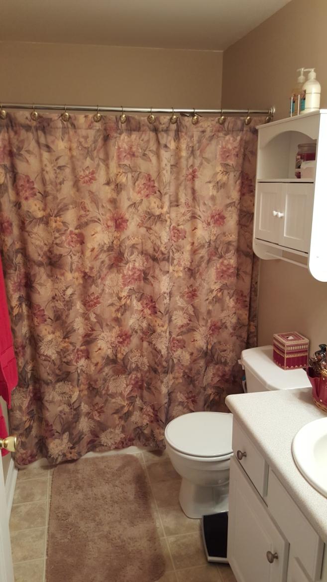 1365 Emmaus Church Road Moneta, VA 24121 - Photo 24 of 48 Upstairs BA 1