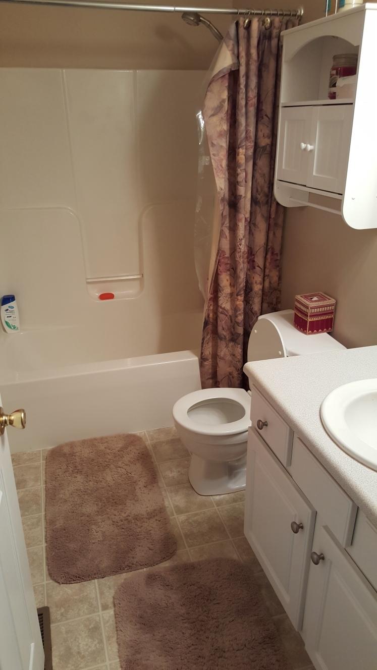 1365 Emmaus Church Road Moneta, VA 24121 - Photo 26 of 48 Upstairs BA 3