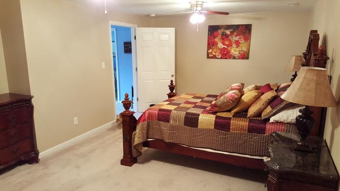 1365 Emmaus Church Road Moneta, VA 24121 - Photo 31 of 48 Basement BR 1
