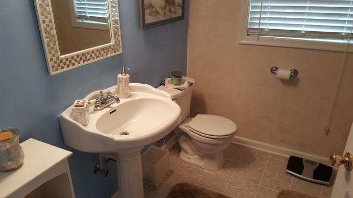 1365 Emmaus Church Road Moneta, VA 24121 - Photo 35 of 48 Basement BA 4