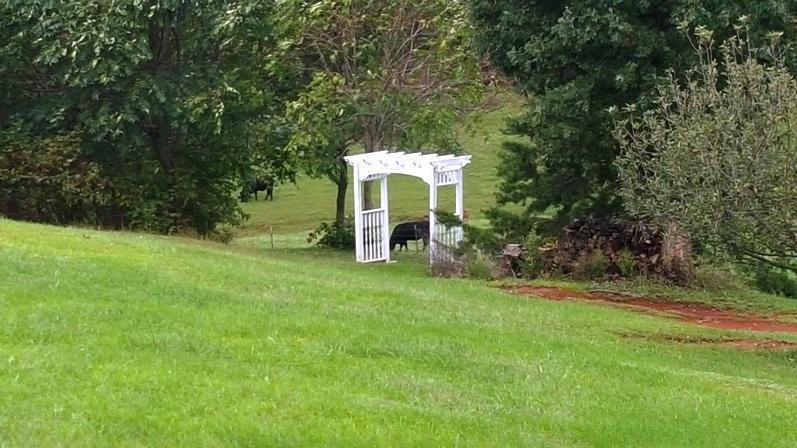 1365 Emmaus Church Road Moneta, VA 24121 - Photo 44 of 48 Front 4