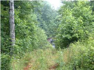 274 Myers Road Pikeville, TN 37367 - Photo 3 of 3 Additional Photo
