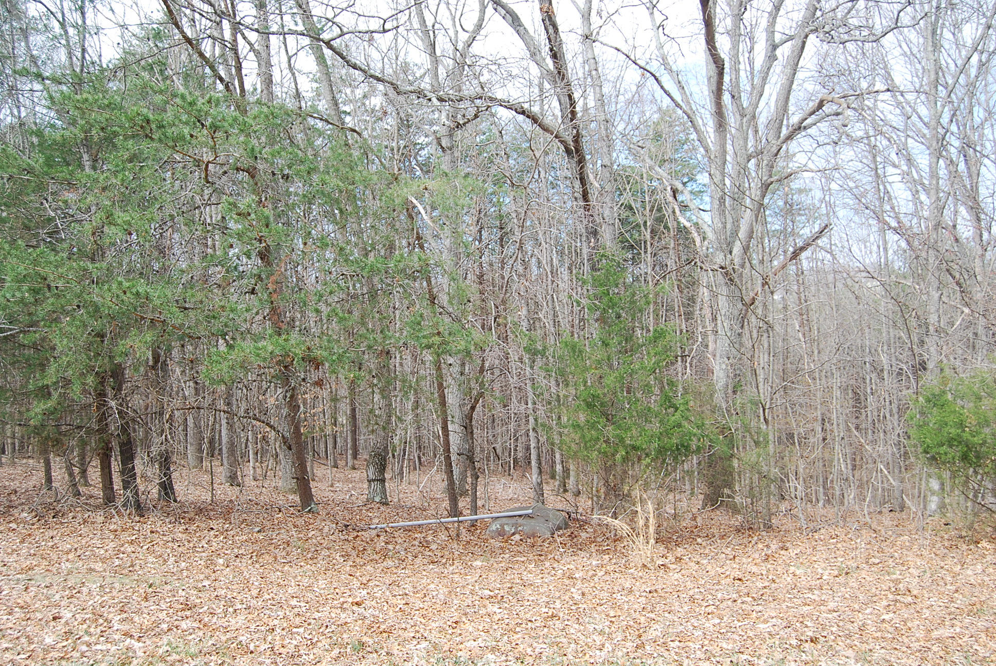 1488 Airport Road Moneta, VA 24121 - Photo 13 of 19 DSC_0245