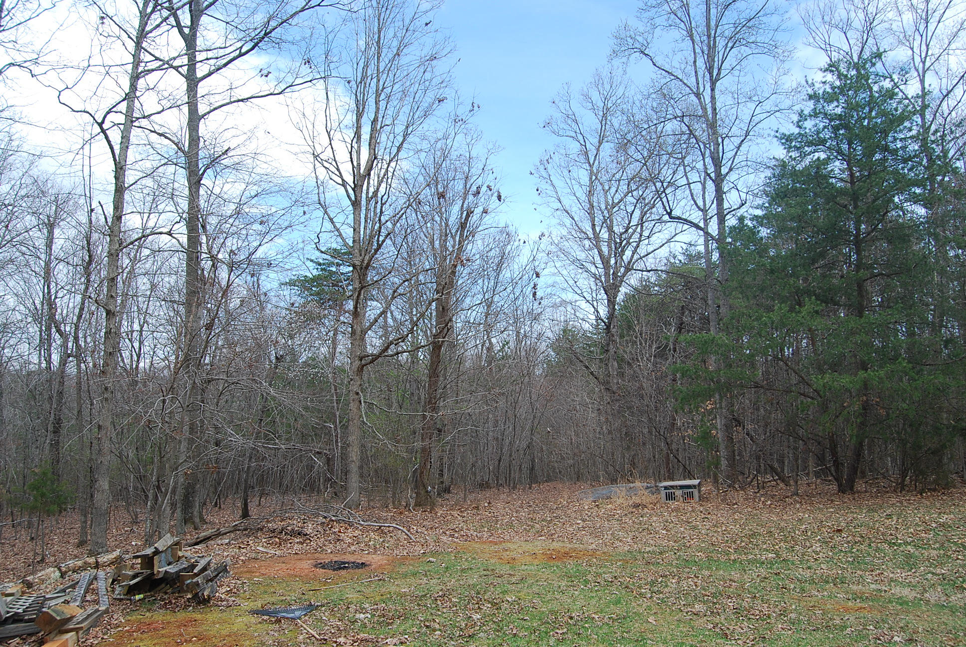 1488 Airport Road Moneta, VA 24121 - Photo 19 of 19 DSC_0274