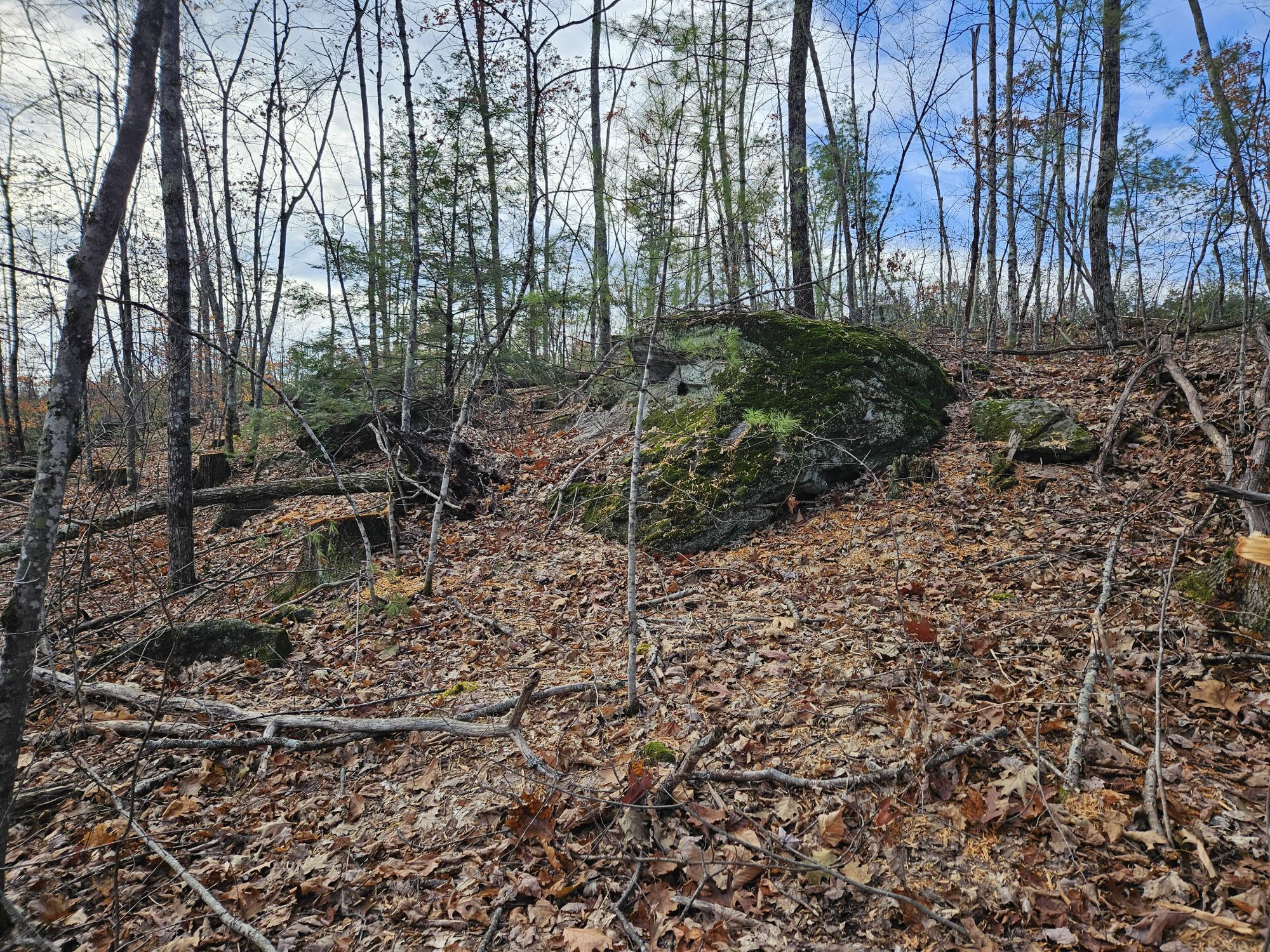 11 Old Alfred Road Waterboro, ME 04087 - Photo 9 of 38 20231103_115732