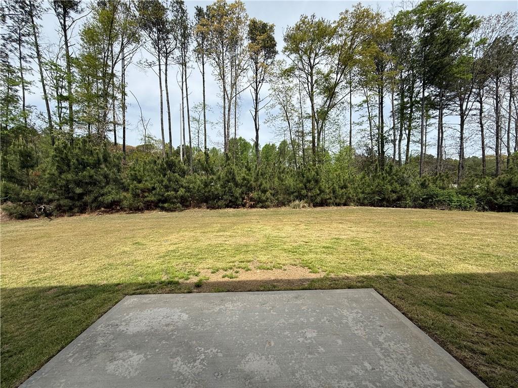 5839 Wheeler Ridge Road Auburn, GA 30011 - Photo 20 of 21