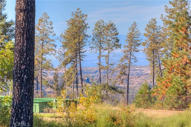 a yard with trees in the background