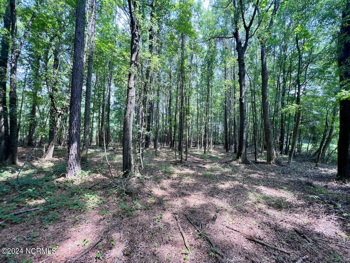 0 Woodruff Road Selma, NC 27576 - Photo 10 of 42 10