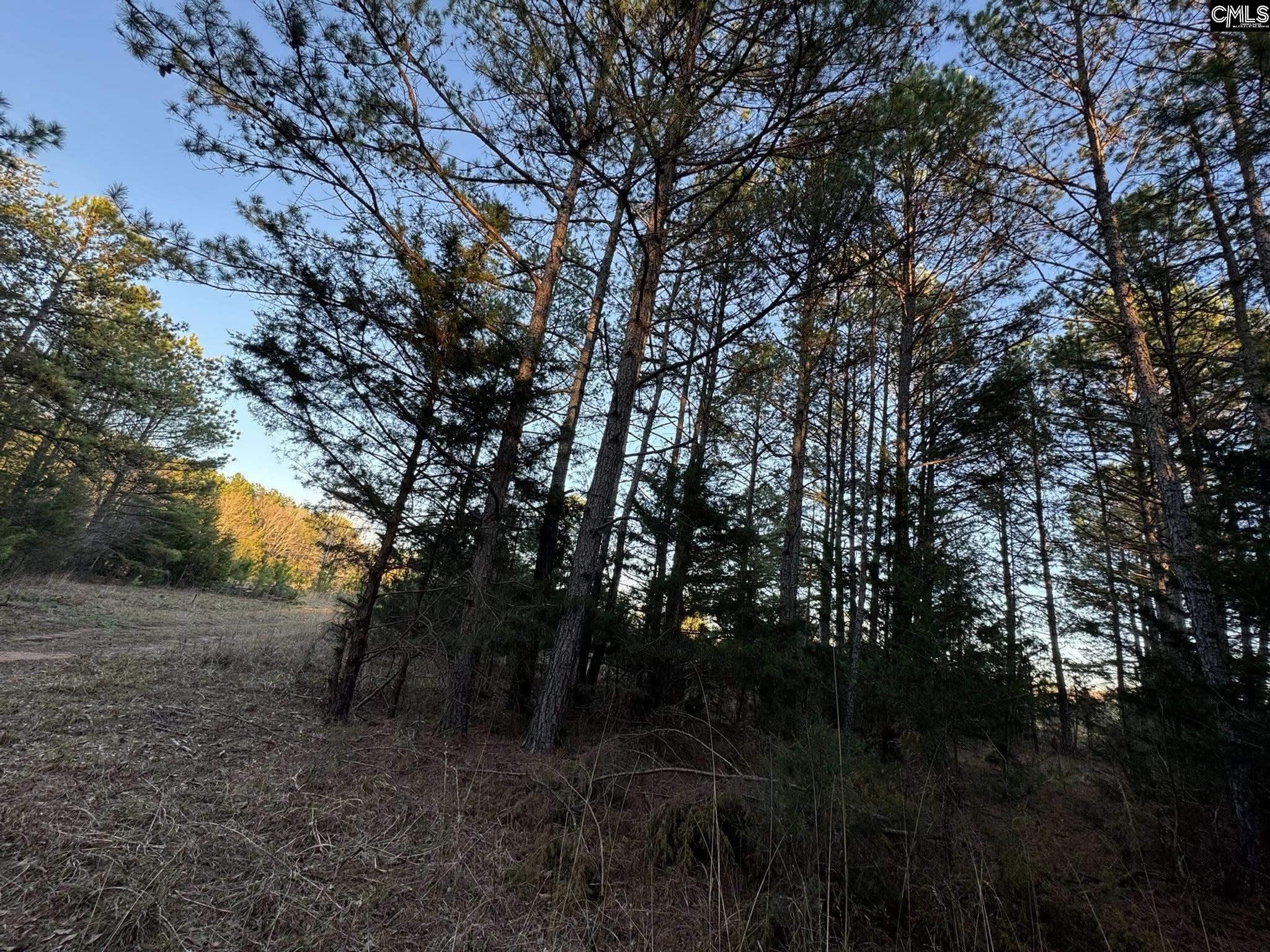 150 Floyd Lanford Road Woodruff, SC 29388 - Photo 40 of 65