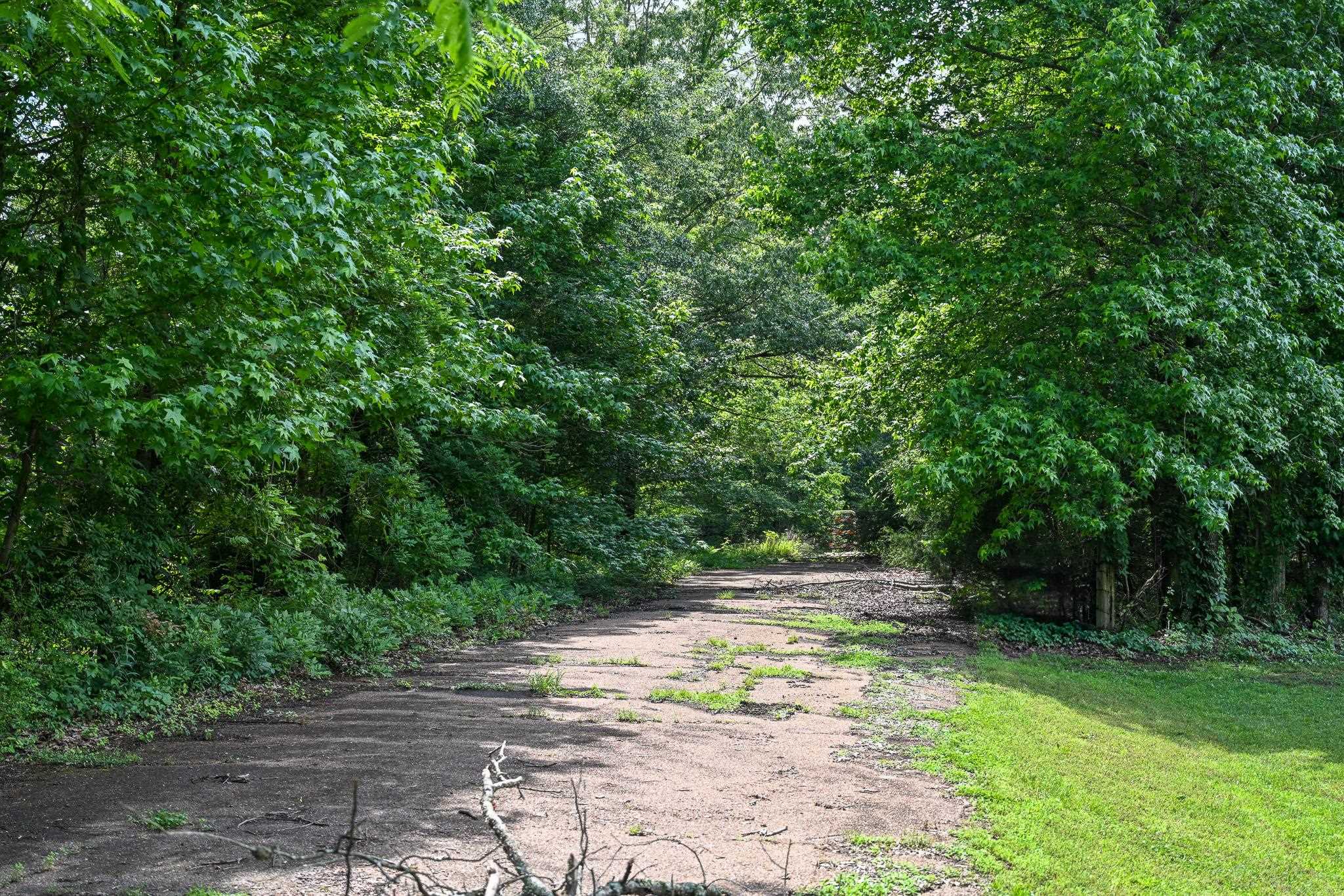 Jason Way Jason Way Lane Byhalia, MS 38611 - Photo 3 of 4 a view of yard with green space