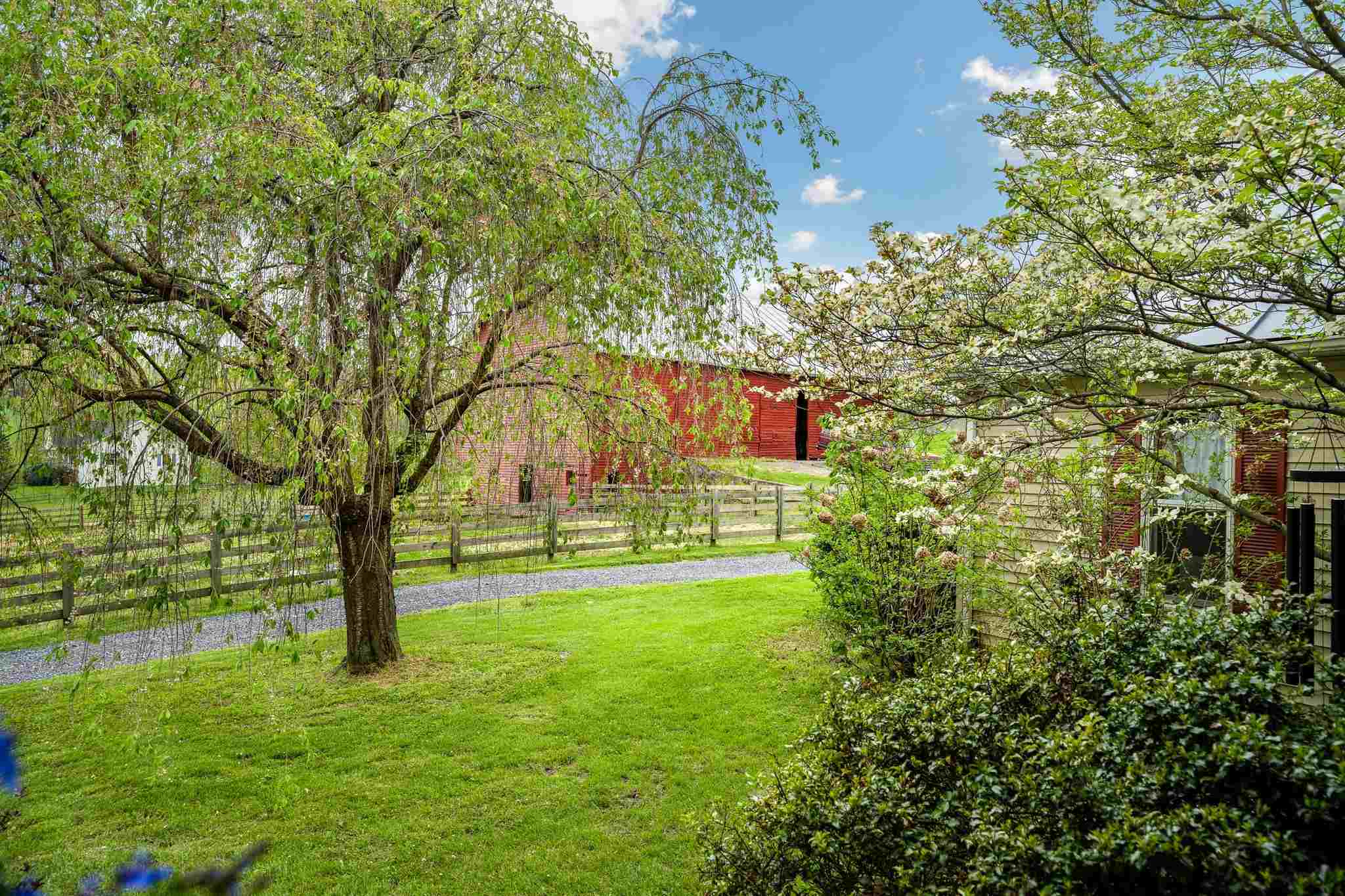 1167 Crooked Run Road Mount Jackson, VA 22842 - Photo 3 of 65 Gallery Image 3